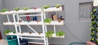 Hydroponic system for sale.