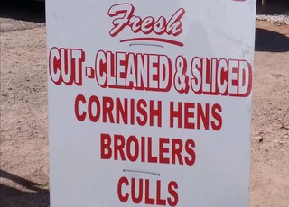 Ducks, live or dressed