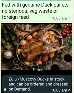 Ducks, live or dressed