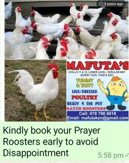 Prayer Roosters