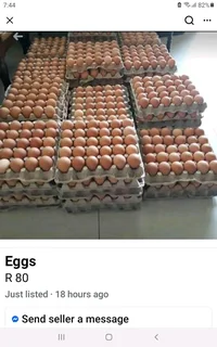 Fresh Laid Eggs