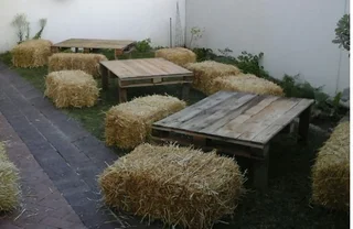 PARTY ESSENTIALS HIRING