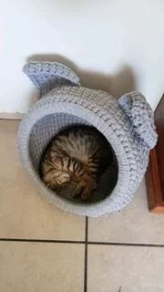 Cat Cave