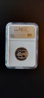 Ultimate Mandela Coin Collection