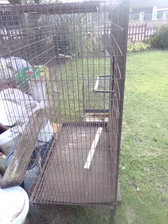 Parrot cage