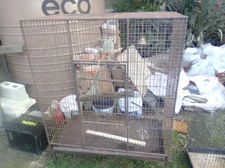 Parrot cage