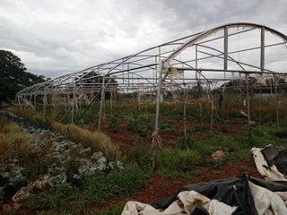Green House Tunnel 30x10m  A Grade Stainless Steel
