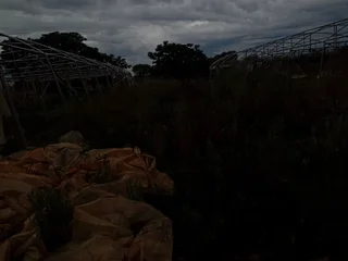 GREEN HOUSE TUNNEL 30X10M  A GRADE STAINLESS STEEL