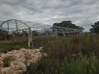 GREEN HOUSE TUNNEL 30X10M  A GRADE STAINLESS STEEL