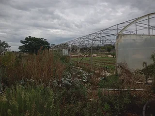 GREEN HOUSE TUNNEL 30X10M  A GRADE STAINLESS STEEL