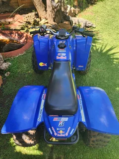 Adly 300 cc Quad Bike