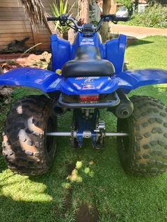 Adly 300 cc Quad Bike