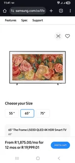 Samsung Frame 65 Inch