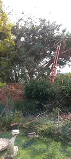 WestRand Gardening Services (PTY) LTD