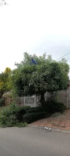 WestRand Gardening Services (PTY) LTD