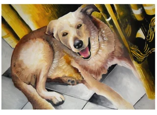Pet Portrait Paintings R600