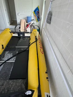 2023 Thundercat pencil duck