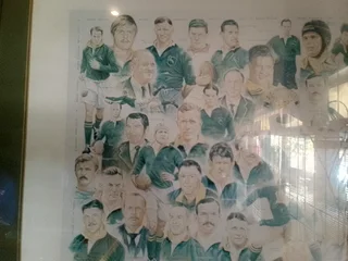 1x1.2m Springbok Captains framed Wall Artwork