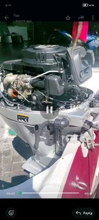 Arrowhead with 15hp 4stroke motor