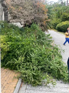 From R450 a load all areas