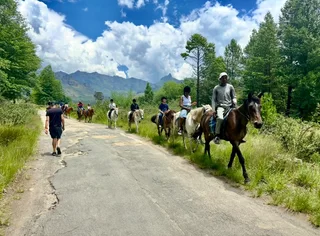 Christmas Week: 22 - 26 December. 6 Sleeper Chalet Drakensberg Gardens Resort
