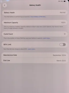 iPad Pro 13-Inch M4 Chip 256GB WiFi Silver (CASH or SWAP)