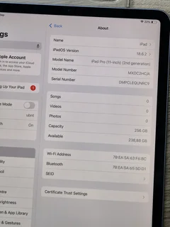 iPad Pro 11-Inch 2nd Gen 256GB WiFi (CASH or SWOP)