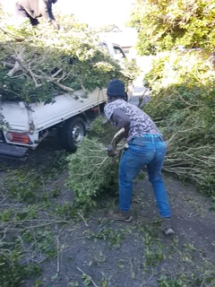 All Removals and General Garden Services.