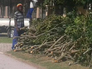 All Removals and General Garden Services.