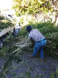 All Removals and General Garden Services.