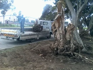 All Removals and General Garden Services.