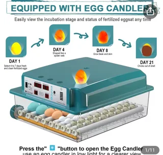 USB 120 Egg roller incubator R2200