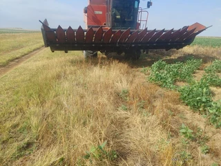 Case 1010 Tafel 22.5 Voet &#43; Kar&#43;Sonneblom Borman Toestel