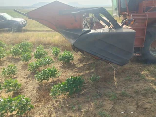 Case 1010 Tafel 22.5 Voet &#43; Kar&#43;Sonneblom Borman Toestel