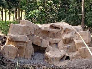 Rock art