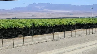 Besigheids geleentheid in transport bedryf