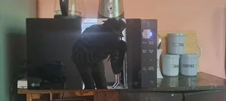 Lg Microwave Latest Edition