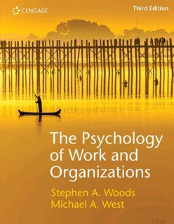 Corporate Strategy, Pidun &amp; Other Business Management Textbooks