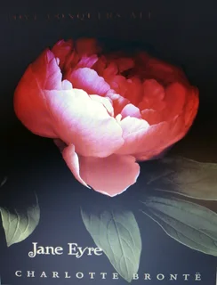 Teaching Literature Books,  various institutions