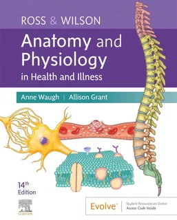 Nursing Tertiary Books