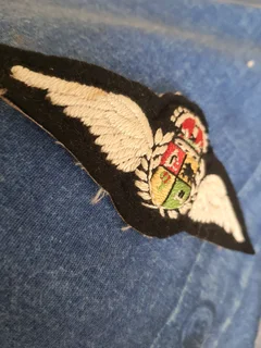 S a a f 2nd world war pilots wings