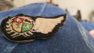 S a a f 2nd world war 2 navigator wings