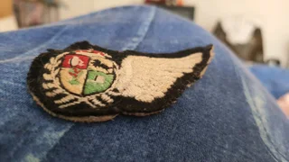 S a a f 2nd world war 2 navigator wings