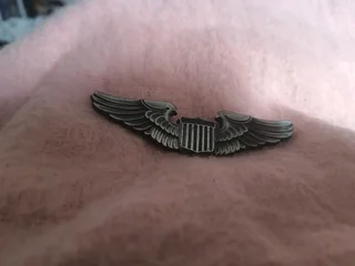 Josten pilots wings 2nd world war