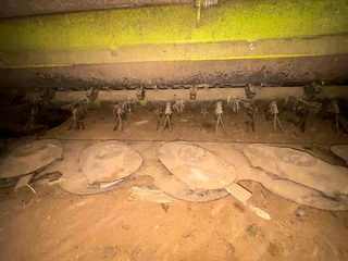 Claas 7 Tol Snyer met Kneuser 2015