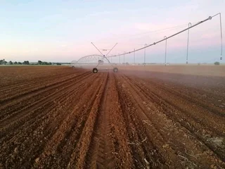 2 Toring Talbert Spilpunte. 2x Beskikbaar