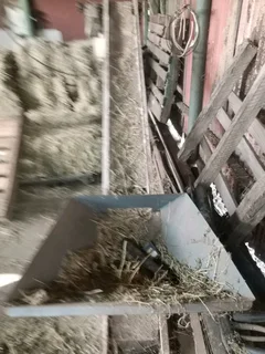 Pilmasjien met sy voer conveyor. 11 Kw