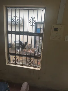 Bachelor Room available