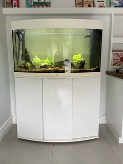 Juwel Vision 180 aquarium + loads of extras