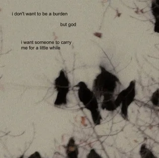 Housesitting - Ad posted by Thembisa Fila